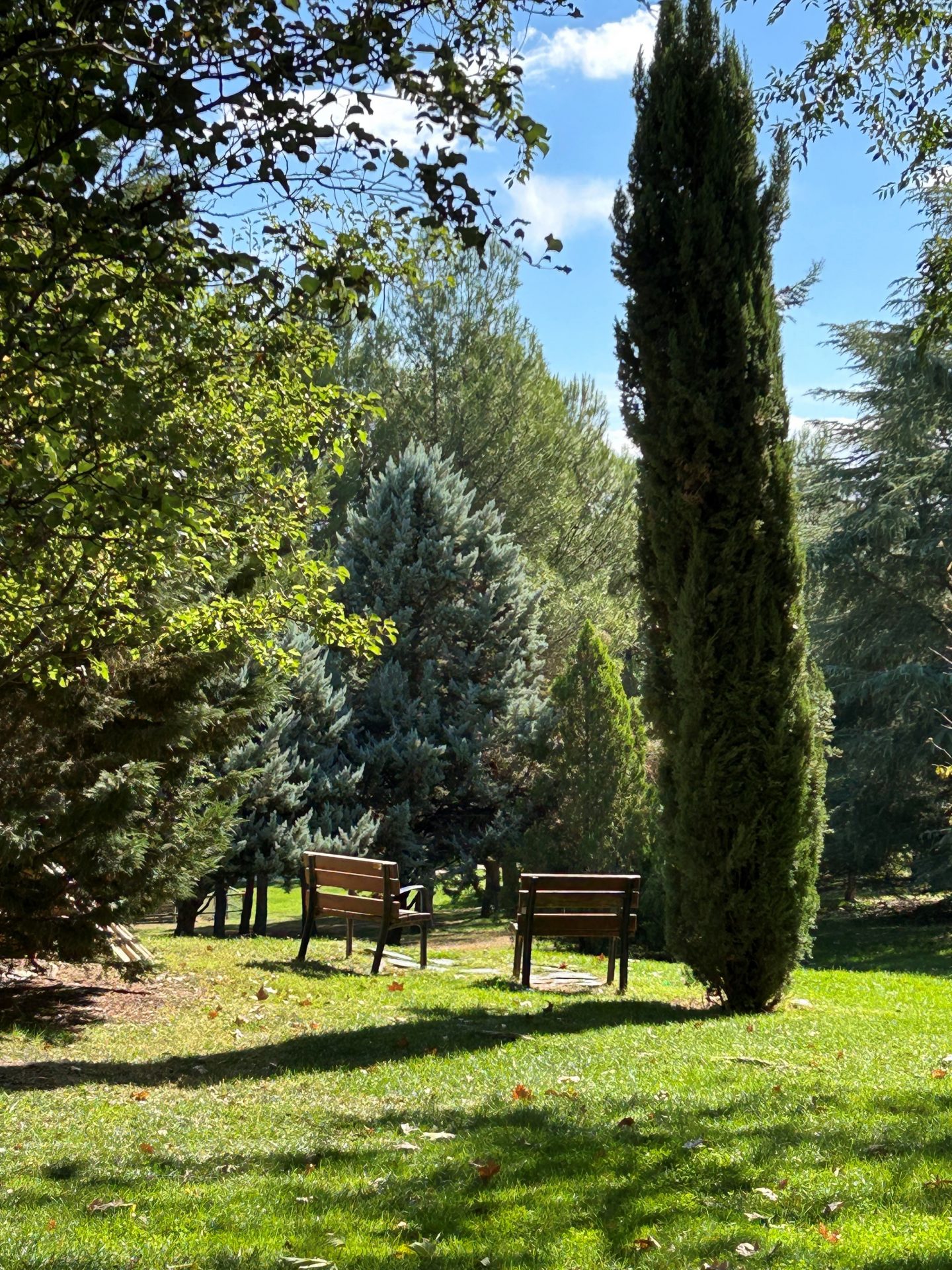 Que no se pierda ninguno